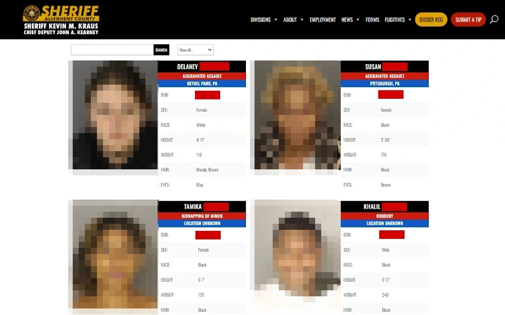 A screenshot displaying from the Allegheny County Sheriff’s Office website showing a photo preview, full name, offense, location, date of birth, sex, race, weight, height, hair and eyes color.